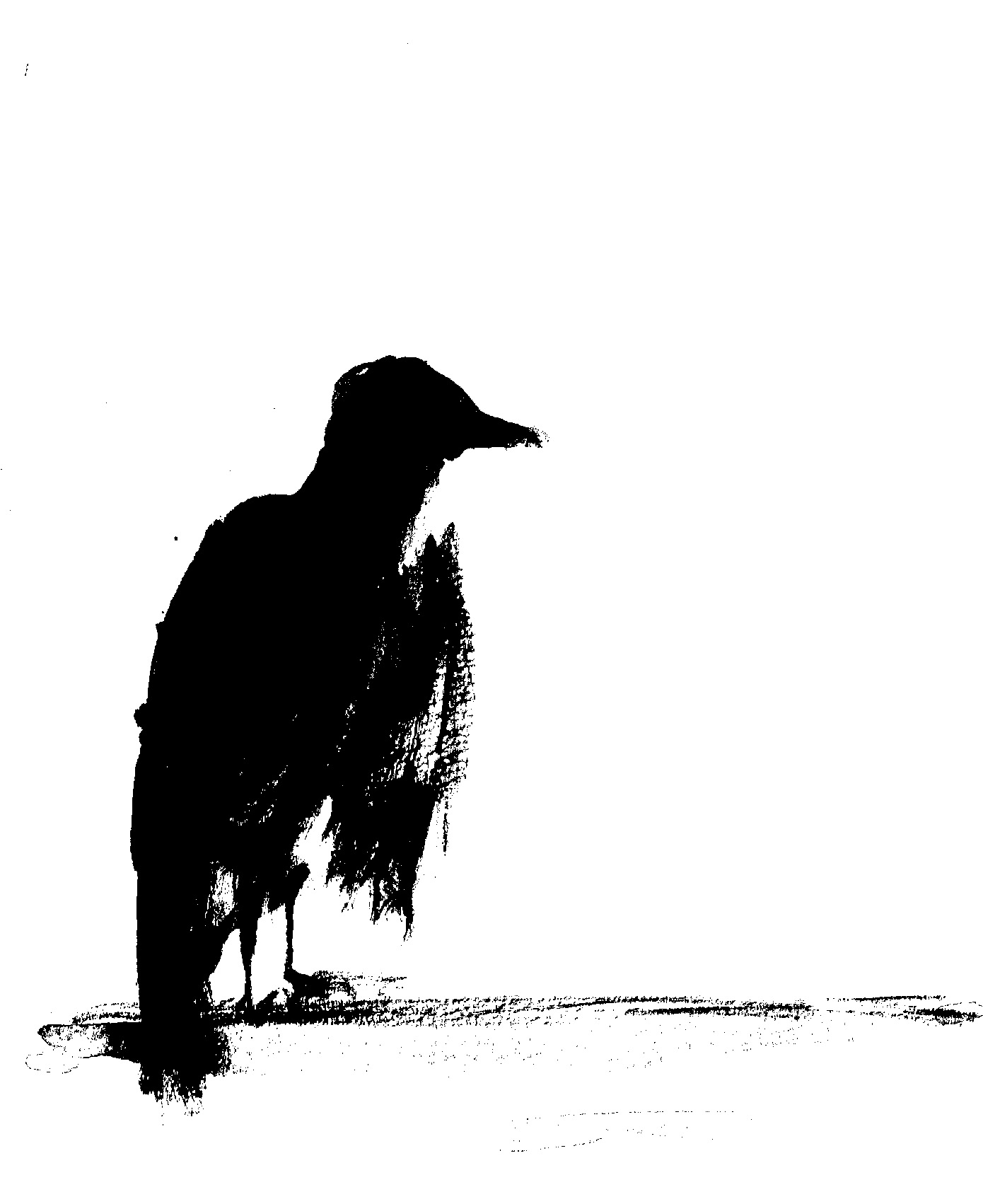作者によるカラスの墨絵